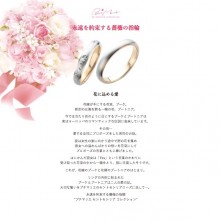 結婚對戒系列