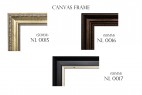 Frame (3)